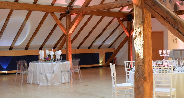 Hofgut m. Hall, chapel, enchanted garden