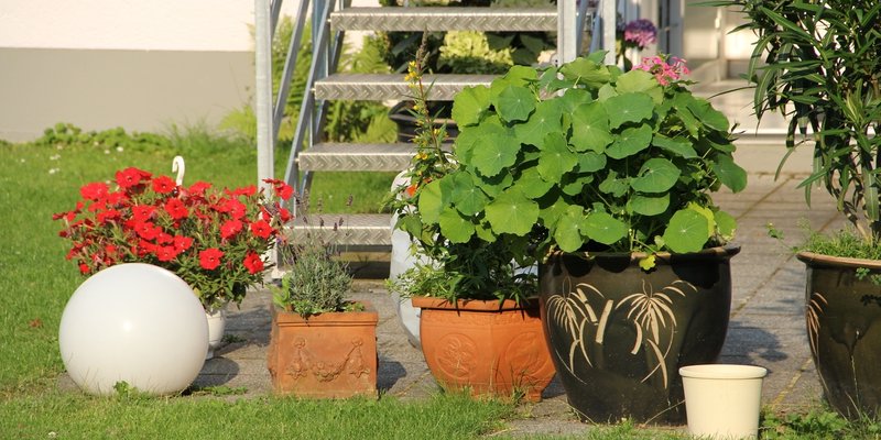 Exklusive Seminar- und Coachingräume - Außenbereich - Garten