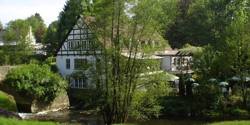 Historische Idylle im Sachsenwald - Blick vom Sachsenwald 