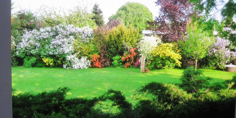 Freistehender Bungalow Köln/Düsseldorf