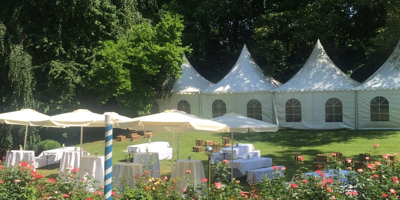 Burg mit eigenem Weingut und schönem Park
