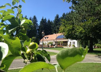 Idyllic country estate with a 20,000 m² Park