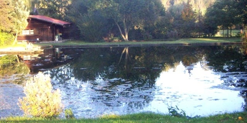 Pond site with log cabin