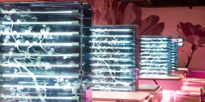 Symbiosis of Club culture & fine dining Symbiosis of Club culture & fine dining