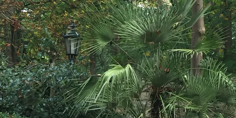 Burg mit eigenem Weingut und schönem Park