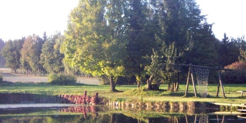 Pond site with log cabin