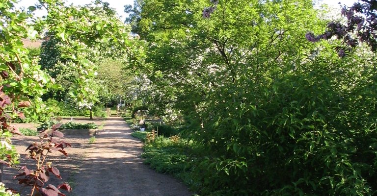 Refugium Nähe Kiel mit Seezugang