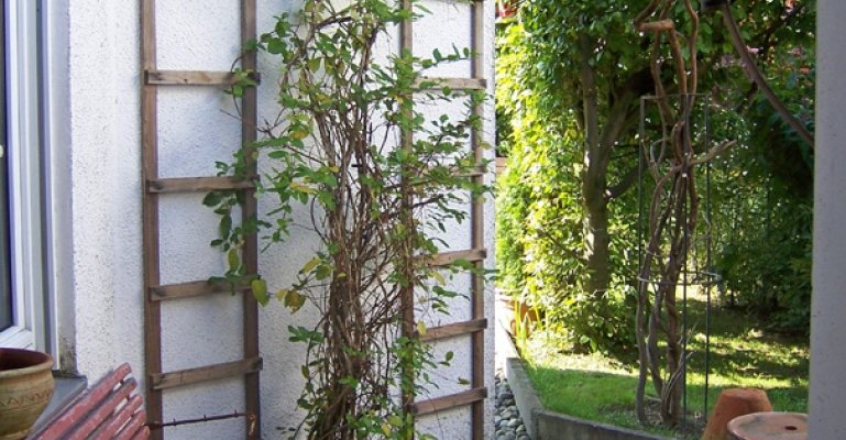 Doppelhaushälfte mit südlichem Flair