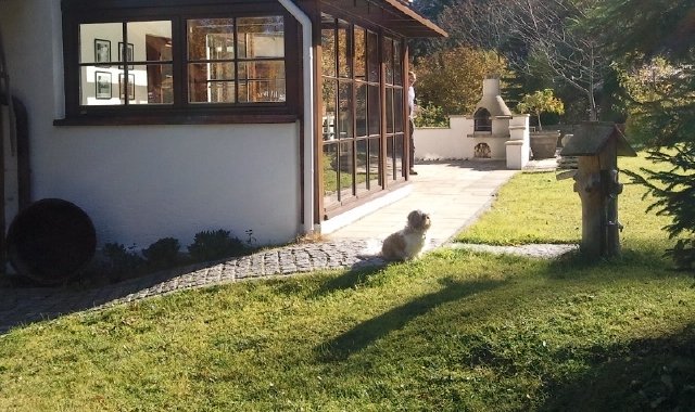 German, English, French