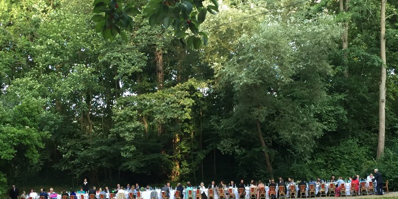 Burg mit eigenem Weingut und schönem Park