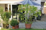 Exklusive Seminar- und Coachingräume - Außenbereich - Garten
