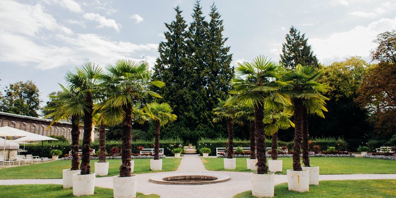 Schlosscafé im Palmenhaus 