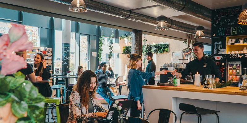 Workshop and Office Playground