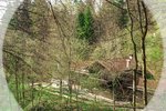 Seminarhaus mitten im Wald Seminarhaus mitten im Wald