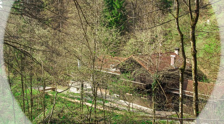 Seminarhaus mitten im Wald Seminarhaus mitten im Wald