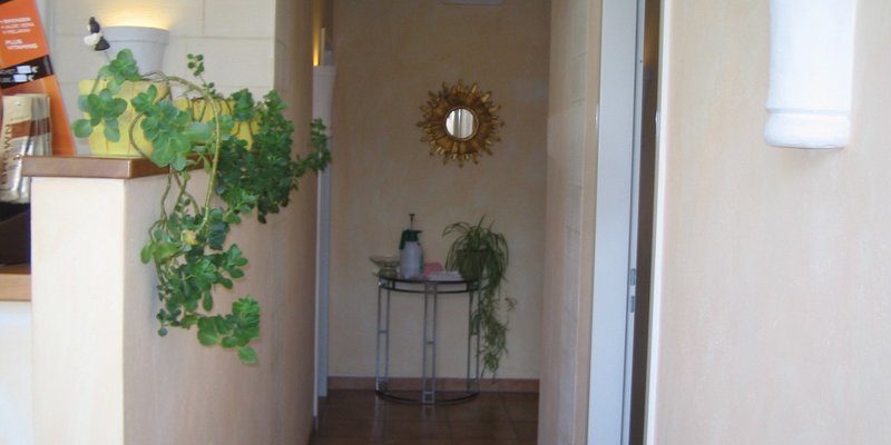 Sun Studio in the countryside