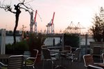 Ein Hauch von Asien an der Elbe Ein Hauch von Asien an der Elbe