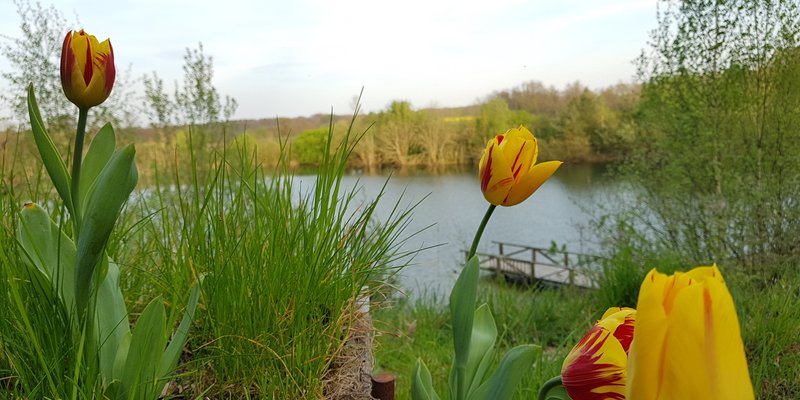 Lake with hut, jetty and water terrace