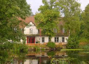 Historical Idyll in the woods of Saxony