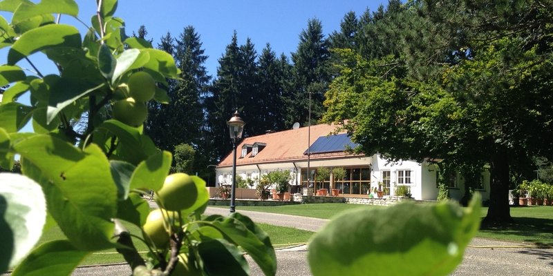 Idyllic country estate with a 20,000 m² Park