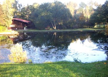 Weihergrundstück mit Blockhütte