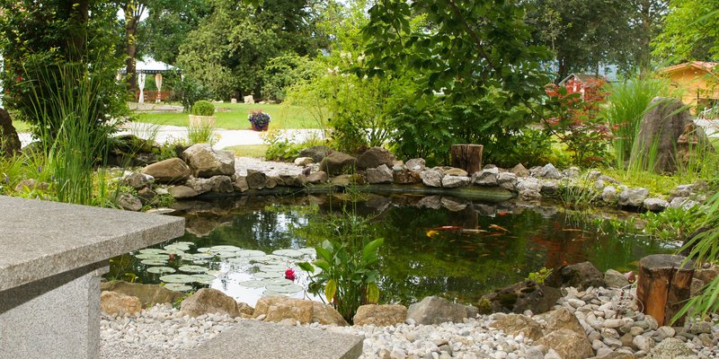 Berghof mit Pool und Blick auf die Berge - Parkanlage Teich