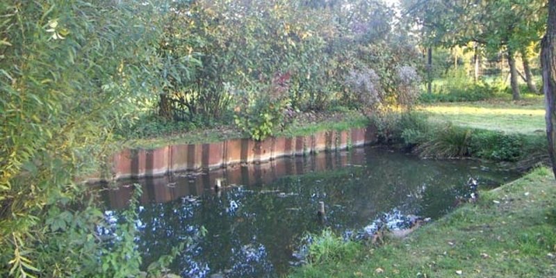 Pond site with log cabin