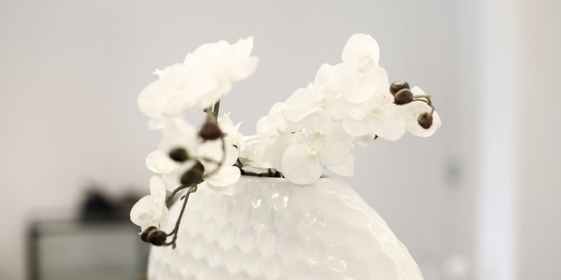 Fabulous conference rooms on the high Bank of the river ISAR