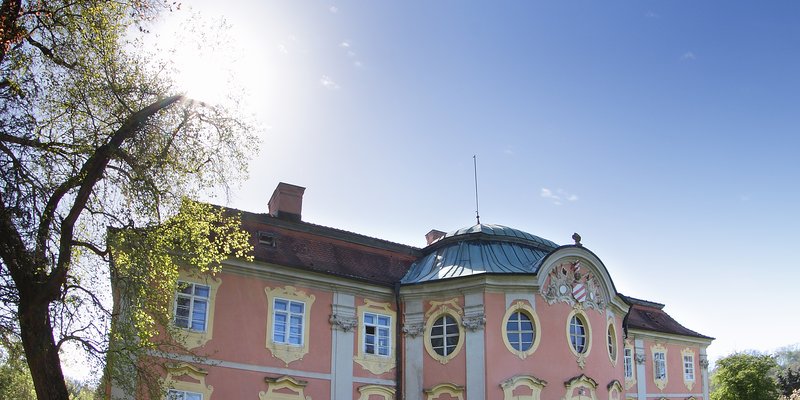 Schloss ass around town