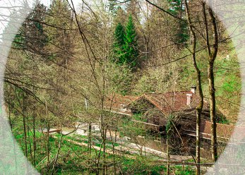 Seminarhaus mitten im Wald
