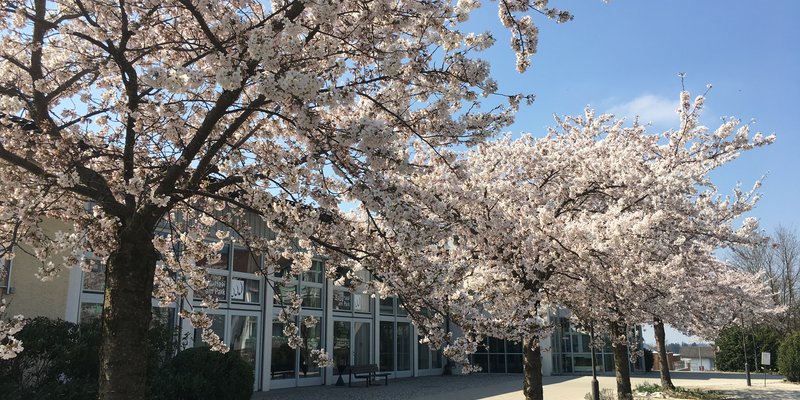 The cultural Hall in the Park