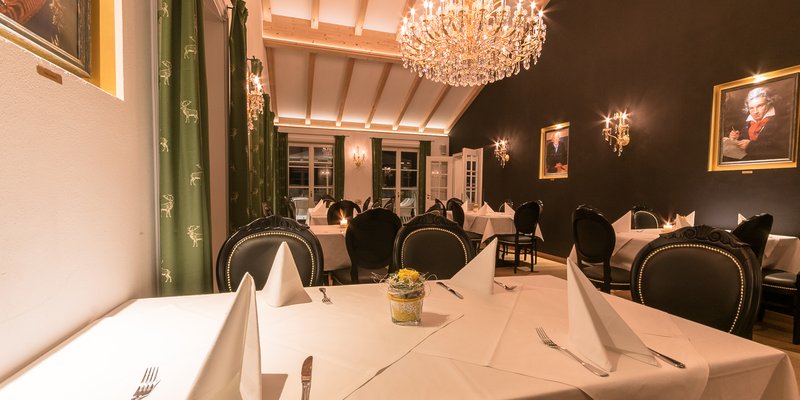 Restaurant hall with panoramic terrace Restaurant hall with panoramic terrace