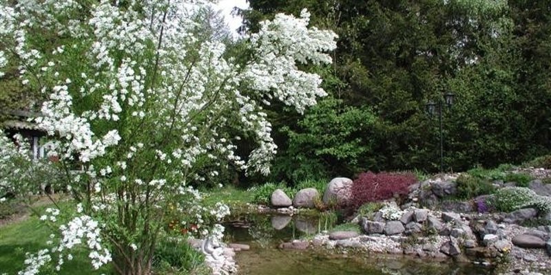 Einfam.-Haus m. Garten u. Teich